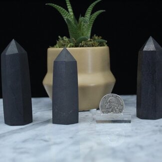 Shungite Towers Point Generator - Medium (2-4") Matte
