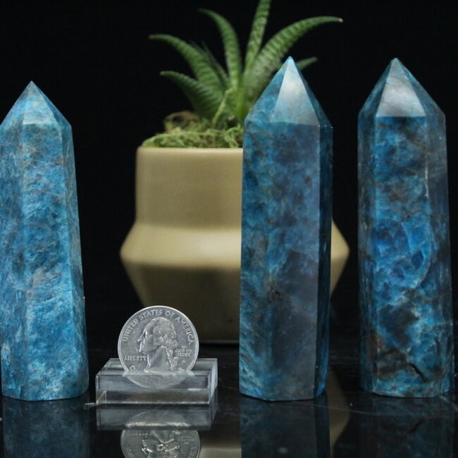 Blue Apatite Towers Point Generator - Medium (3-5")