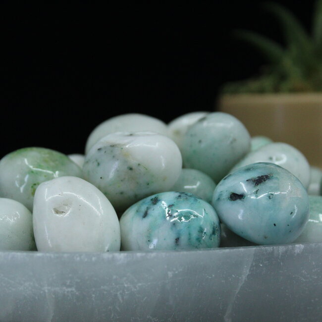 Phoenix Stone Pine - Tumbled Large