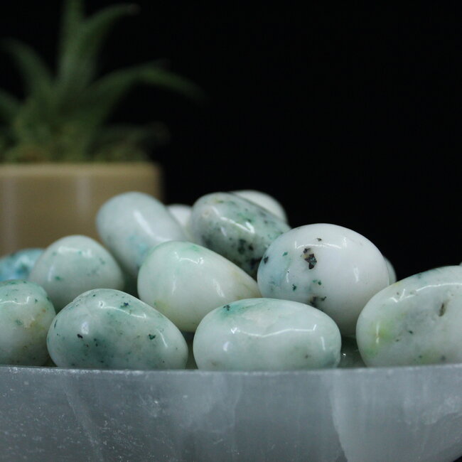 Phoenix Stone Pine - Tumbled Large