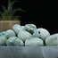 Phoenix Stone Pine - Tumbled Large