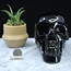 Black Obsidian Skull XXL Carving Carved Specimen