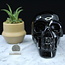 Black Obsidian Skull XXL Carving Carved