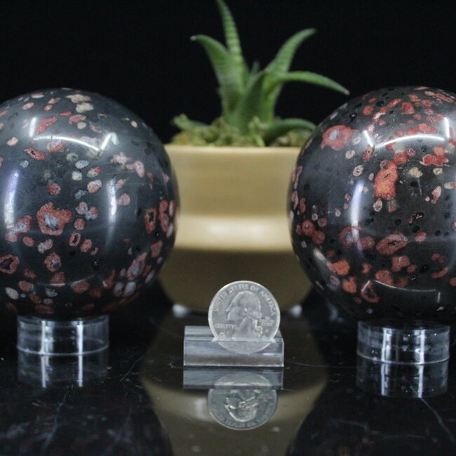 Black Plum Blossom Jade Sphere Orb - 80mm Specimen