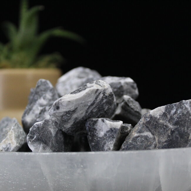 Mexican Fossil Stone - Rough