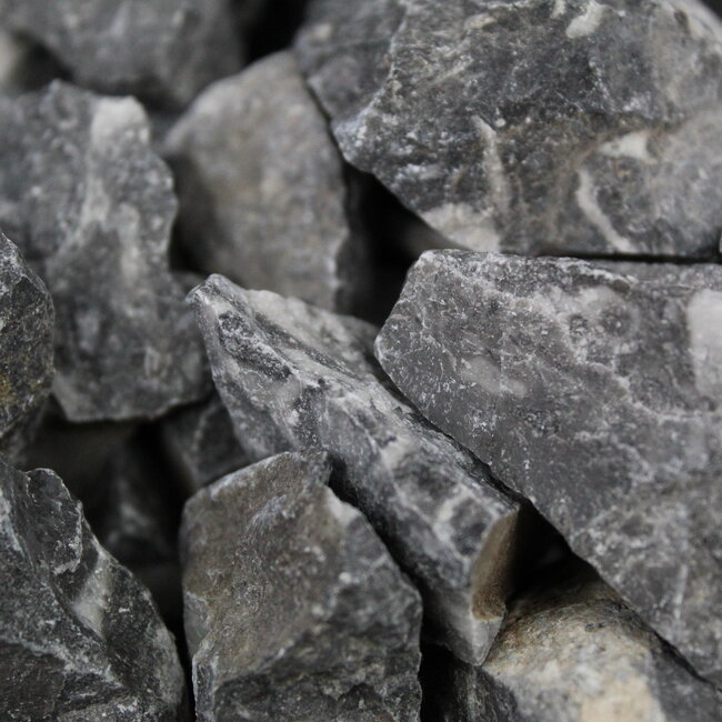 Mexican Fossil Stone - Rough