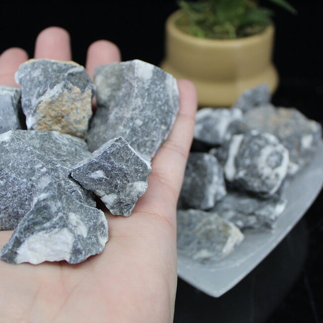 Mexican Fossil Stone - Rough