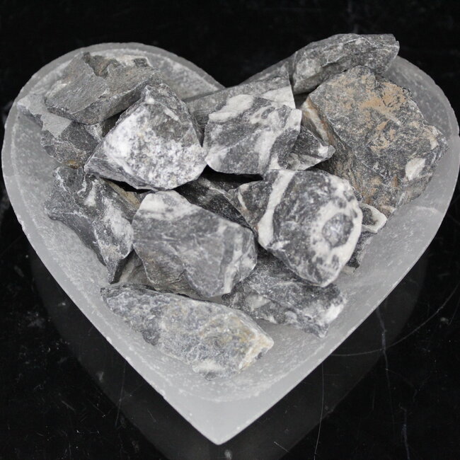 Mexican Fossil Stone - Rough