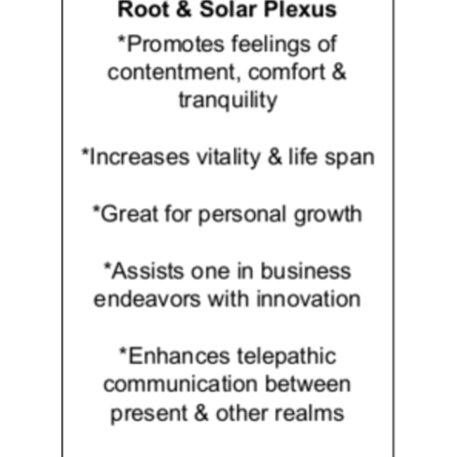 Mexican Fossil Stone - Rough