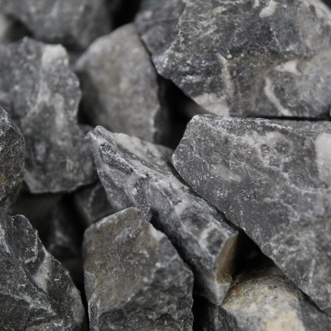 Mexican Fossil Stone - Rough