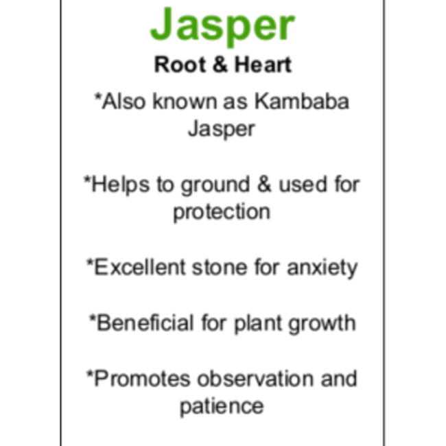 Crocodile (Kambaba) Jasper (Green Stromatolite) Rough Raw Natural