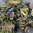 Bismuth Rough Raw Natural - Mini (.5-1") Clusters