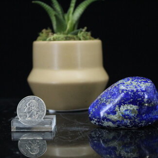 Lapis Lazuli Free Form Small