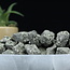 Pyrite Small - Rough Raw Natural