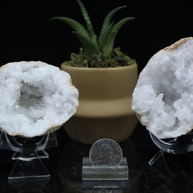 Clear Crystal Quartz Geodes - Medium (Pair Set)