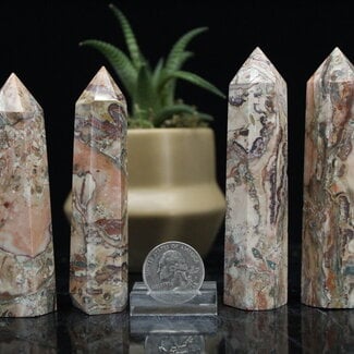 Nellite Lionskin Tower Point Generator-Medium (2-3")