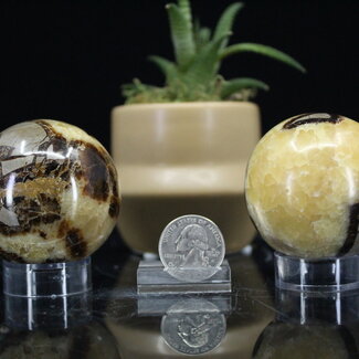 Septarian Jasper (Dragon Stone) Spheres Orb - 55mm