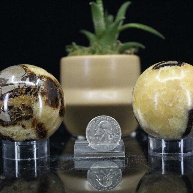 Septarian Jasper (Dragon Stone) Spheres Orb - 55mm