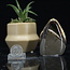 Septarian Jasper (Dragon Stone) Free Form - Small (2.5-3")