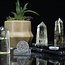 Citrine & Smoky (Smokey) Quartz Tower Point Generators - Medium (3-4") Smoky Citrine