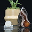 Desert (Polychrome) Jasper Flame Twist - Small