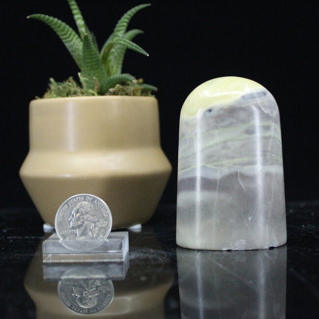 Serpentine Free Form