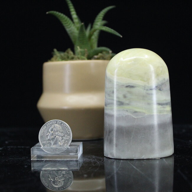 Serpentine Free Form