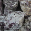 Pink Ruby Red (Rubellite) Tourmaline in Quartz Matrix - Rough Raw Natural