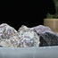 Pink Ruby Red (Rubellite) Tourmaline in Quartz Matrix - Rough Raw Natural