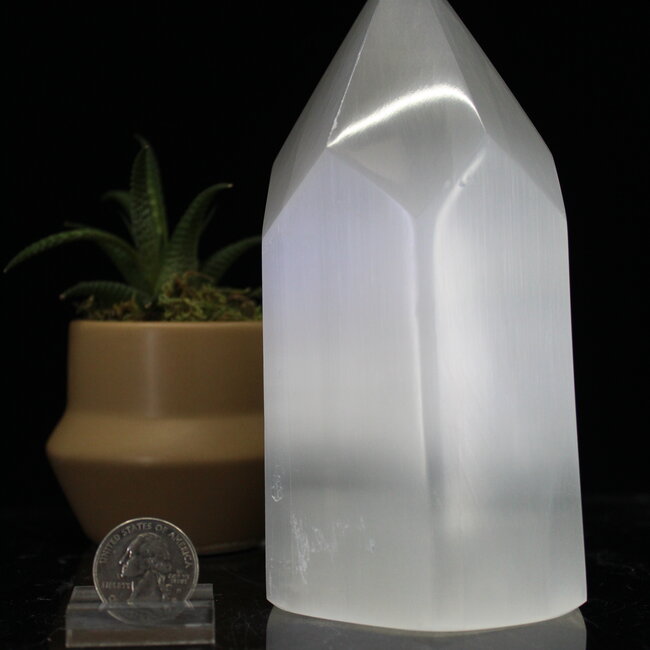 Selenite (Satin Spar Gypsum) Hexagon Tower Point Generator - 7"