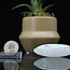 Selenite (Satin Spar Gypsum) Palm Pillow Pocket Stone - Tree of Life Engraved 1.5"