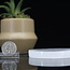 Selenite (Satin Spar Gypsum) Charging Disks Plates Station - 2.5" Round Small