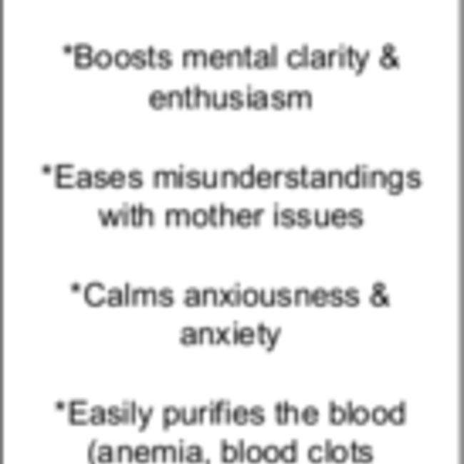 Bloodstone (Seftonite Heliotrope) Skull - Mini