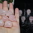 Rose Quartz Skulls - Mini