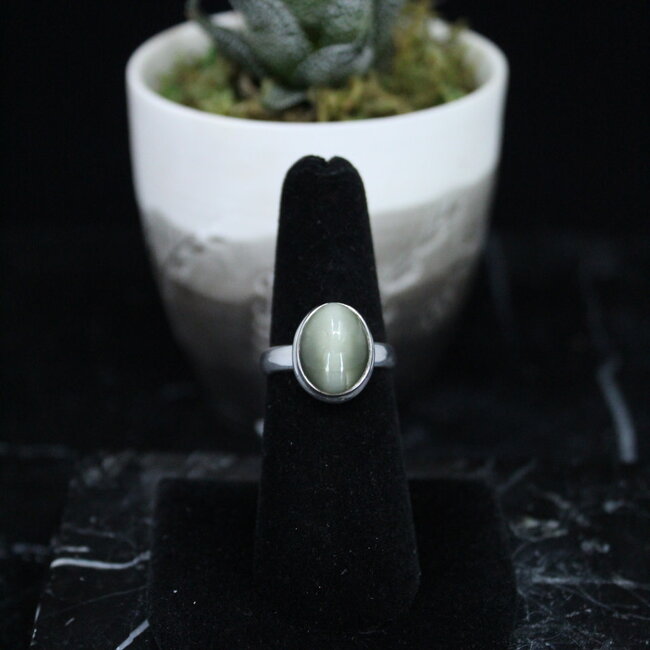 Natural Green Cat's Eye Ring - Size 6 - Sterling Silver Oval
