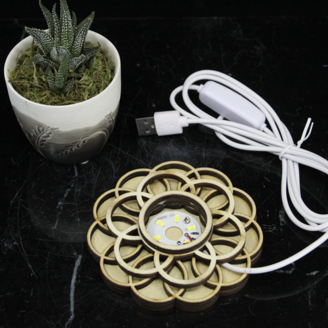 Flower Sphere Light LED- 4" USB