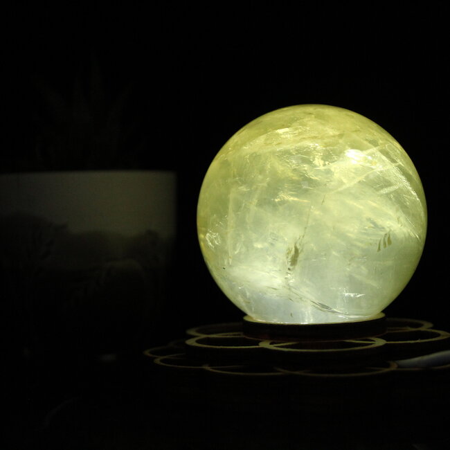 Flower Sphere Light LED- 4" USB