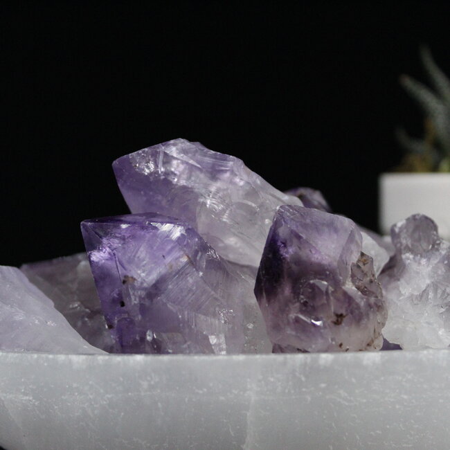 Dark Amethyst Point (Dragons Tooth Teeth Root Elestial ) - Medium Rough Raw Natural
