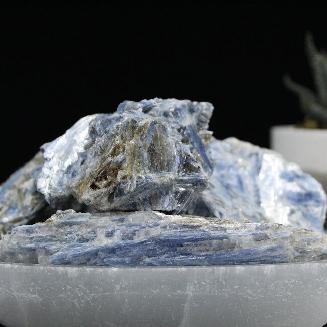 Blue Kyanite - Large (3-5") Rough Raw Natural