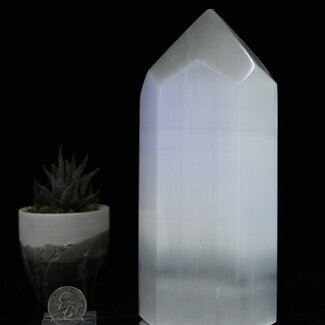Selenite (Satin Spar Gypsum) Hexagon Tower - 8" Selenite (Satin Spar Gypsum) Hexagon Tower - 8"