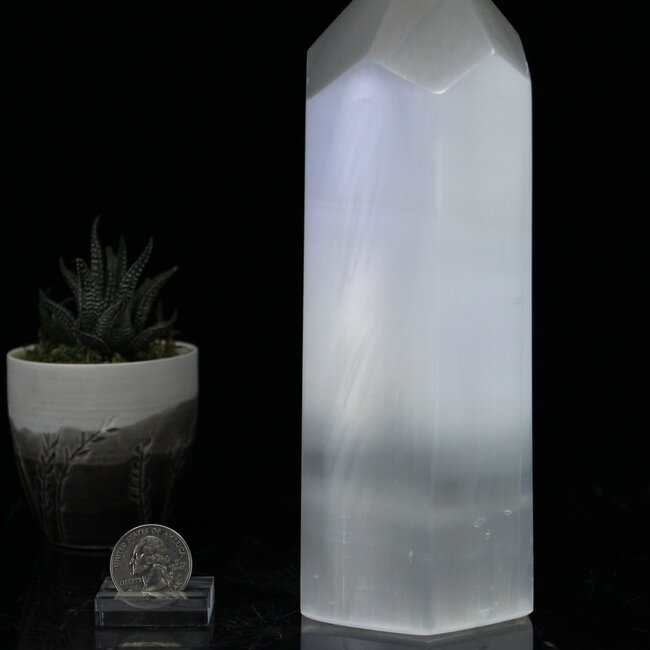 Selenite (Satin Spar Gypsum) Hexagon Tower - 8"