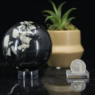 Chrysanthemum (Flower) Stone Sphere Orb -75mm