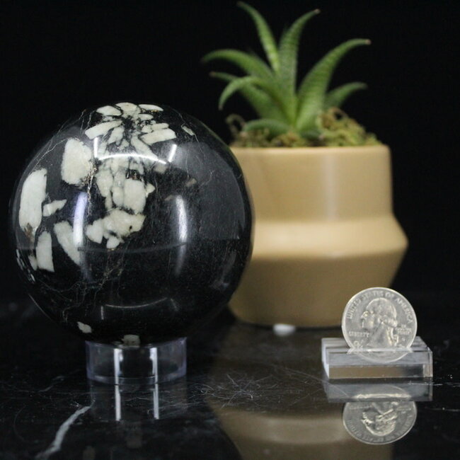 Chrysanthemum (Flower) Stone Sphere Orb -75mm
