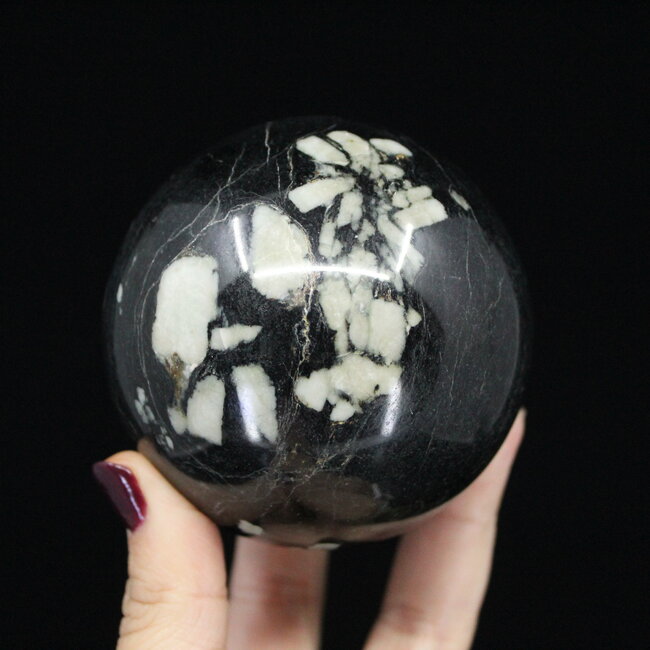 Chrysanthemum (Flower) Stone Sphere Orb -75mm