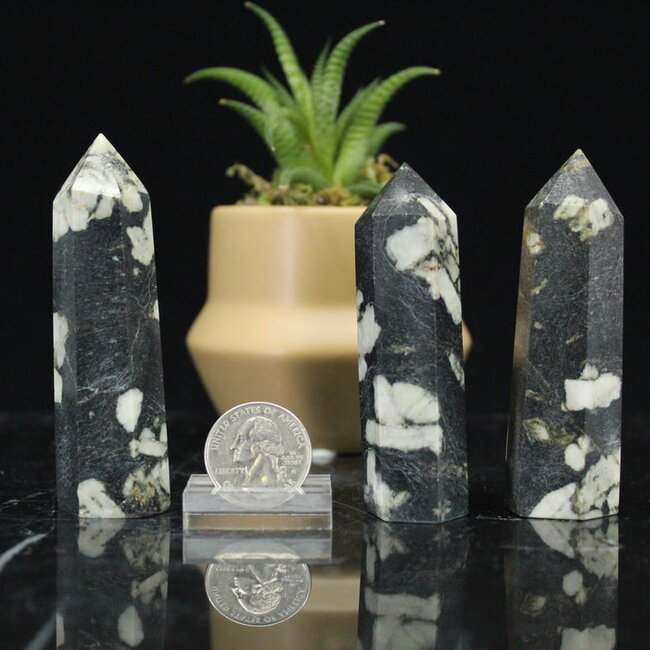 Chrysanthemum Flower Tower Point Generator - Medium (2 - 3")