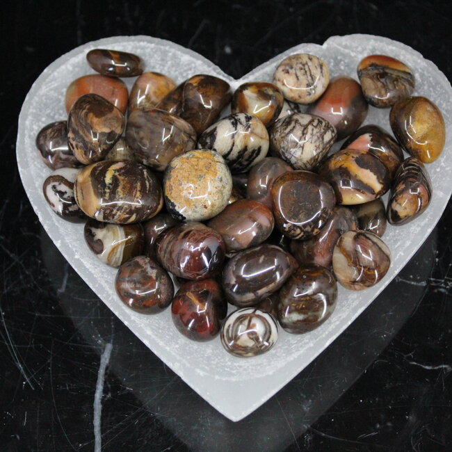 Bamboo Leaf Agate - Tumbled