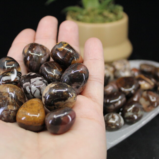 Bamboo Leaf Agate - Tumbled
