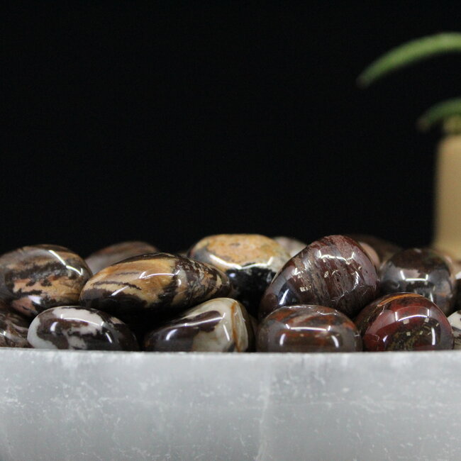 Bamboo Leaf Agate - Tumbled