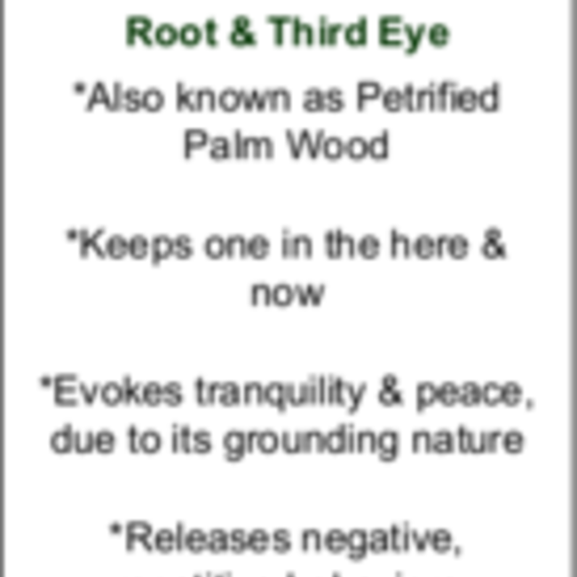 Red Palm Root (Palmwood) Fossil - Tumbled Smooth