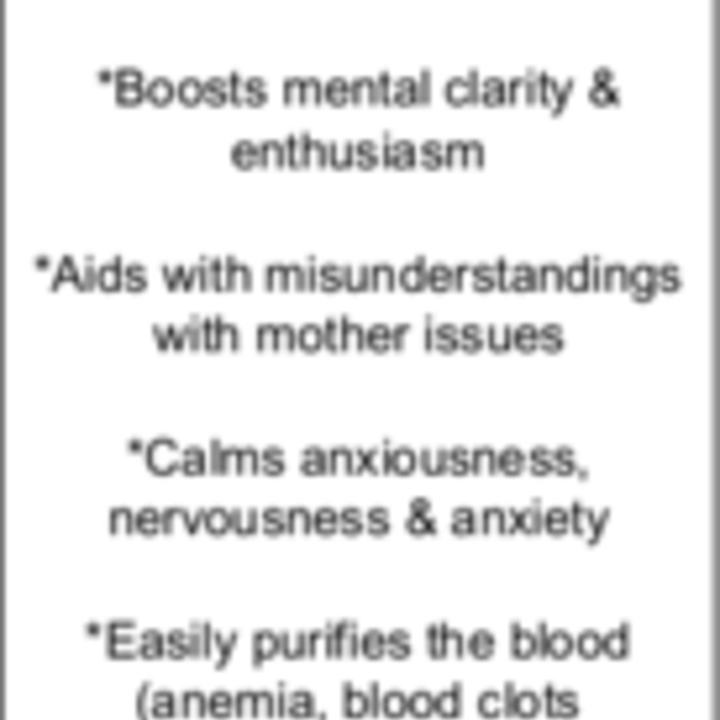 Bloodstone/Heliotrope Specimen Large Polished #2